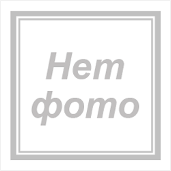 Гортензия метельчатая "Диамантино"